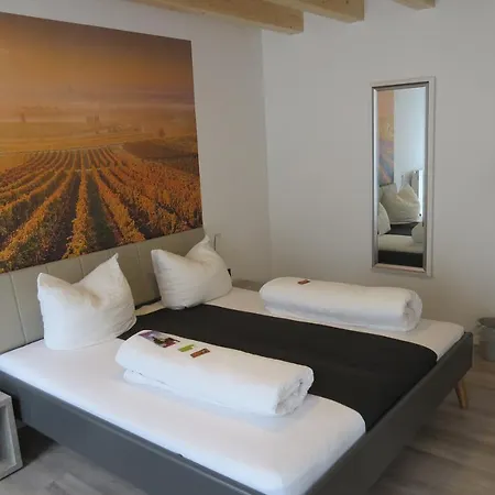 Gaestehaus Steinmuehle Locanda Osthofen