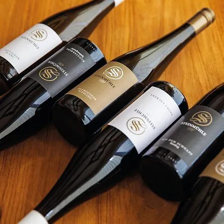 Gaestehaus Steinmuehle *