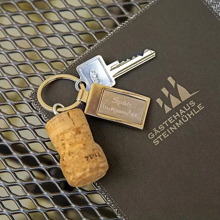 Gaestehaus Steinmuehle Penzion