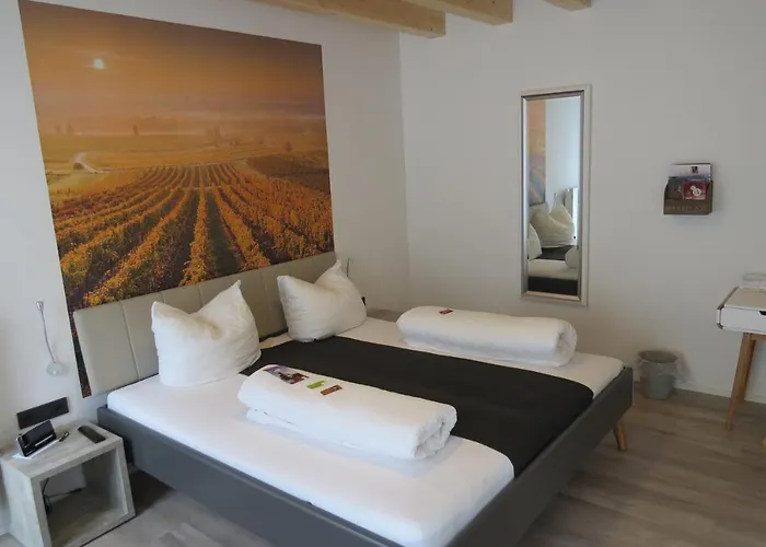 Gaestehaus Steinmuehle Värdshus Osthofen